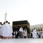 al madinah travels
